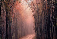 [NBA]米切尔24分 骑士险胜黄蜂.