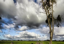 开云：英媒：巴萨和马竞接触帕尔特伊，阿森纳不愿再提供20万镑周薪.