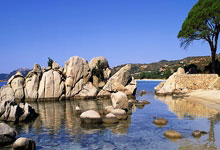 开云：王大雷和李源一去梅州客场了，接下来中超密集赛程对球队是挑战.